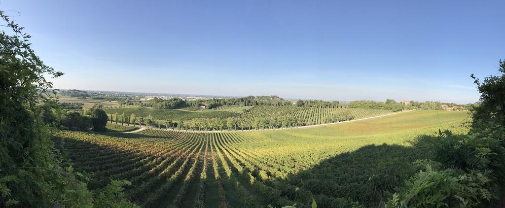 Fattoria Paradiso Bertinoro Zewnętrze zdjęcie