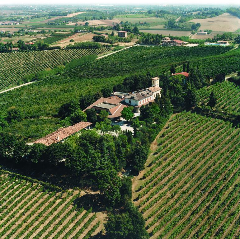 Fattoria Paradiso Bertinoro Zewnętrze zdjęcie